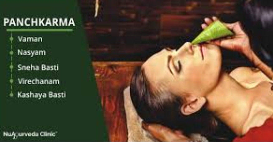 OLIVE AYURVEDA CHUNGATHARA
